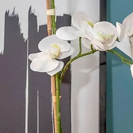 Liiiving In - Ribeira Design Hotell